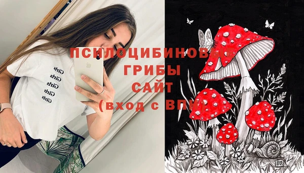 MDMA Бородино